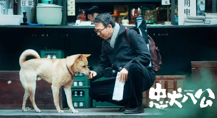 境外看不了腾讯视频指南